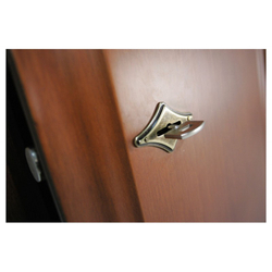 Сейф Technomax ESC/730