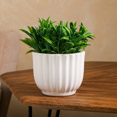 Кашпо для цветов Стандарт, керамика. 0.9л. без поддона  (белый)