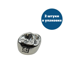 Второй верхний правый моляр, размер 4 (E-UR-4)