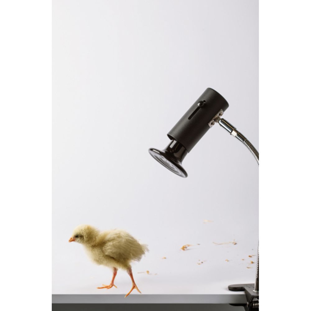 Светильник для рептилий на прищепке для ультрафиолетовой и инфракрасной лампы ЭРА FITO-E27-FLEX-CLIP 250 Вт