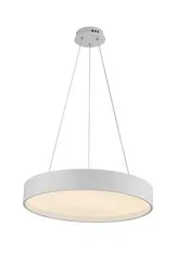 2541/600P WHITE (1) Подвесной светильник (RL)
