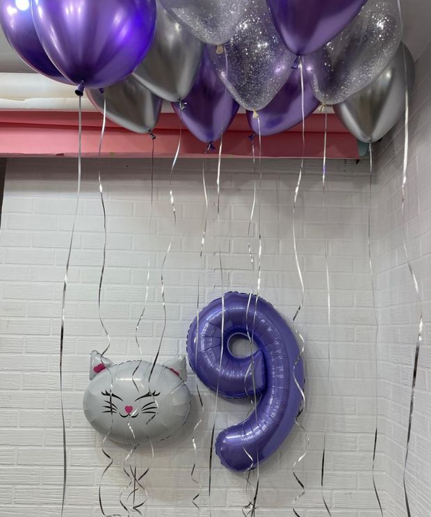"Сиреневый праздник" (набор из 13 шаров. Котик) №8540