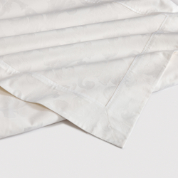 Постельное белье 2 спальное евро макси Сlaire&Caroll Frame белый жаккард