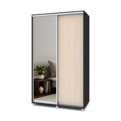 Шкаф-купе двухстворчатый "Роланд" Р442, ЛДСП, MODERN