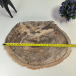 Набор из окаменелого дерева 4 предм Fossil Set NF-63065 поднос 30см*42см