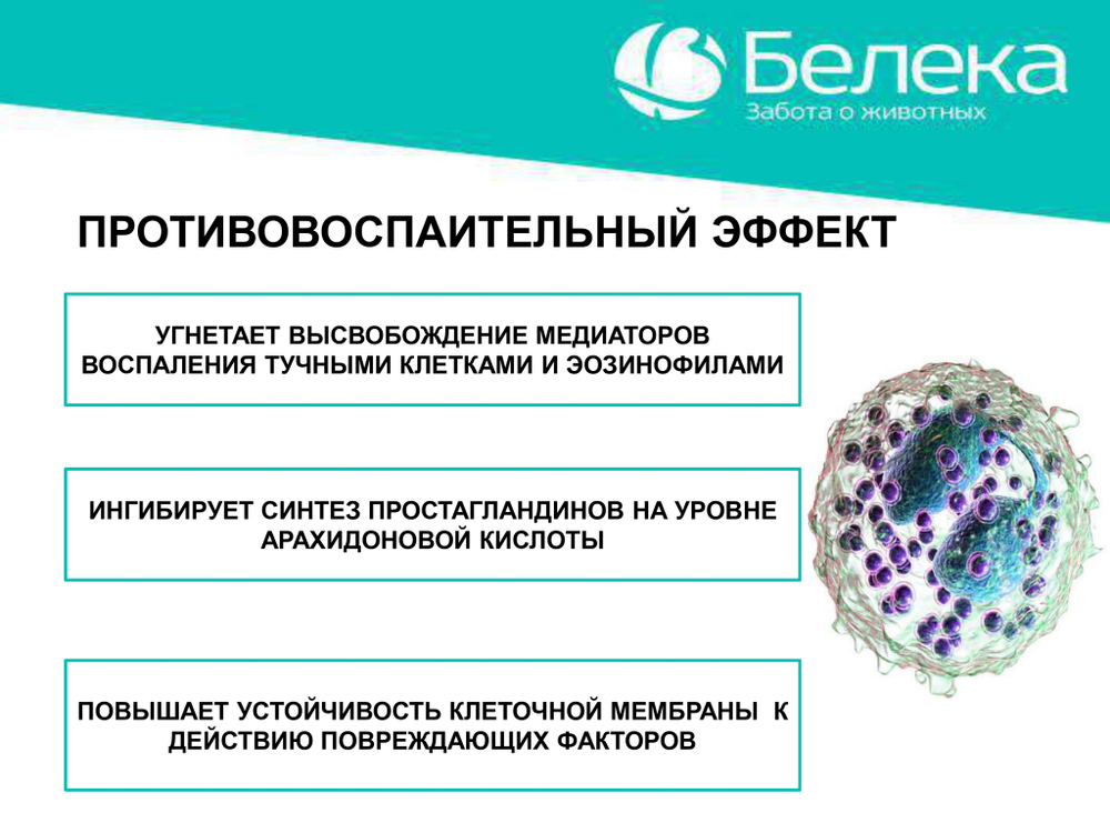 Дексалека (аналог дексафорта), раствор для инъекций, 100 мл