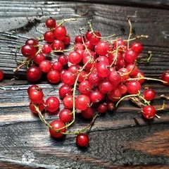 Смородина красная свежая / 500 гр Смородина красная свежая / 500 гр