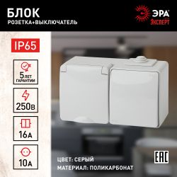 11-7601-03 ЭРА Блок розетка+выкл. гориз. IP65, 16A(10AX)-250В, ОУ, Эра Эксперт, серый