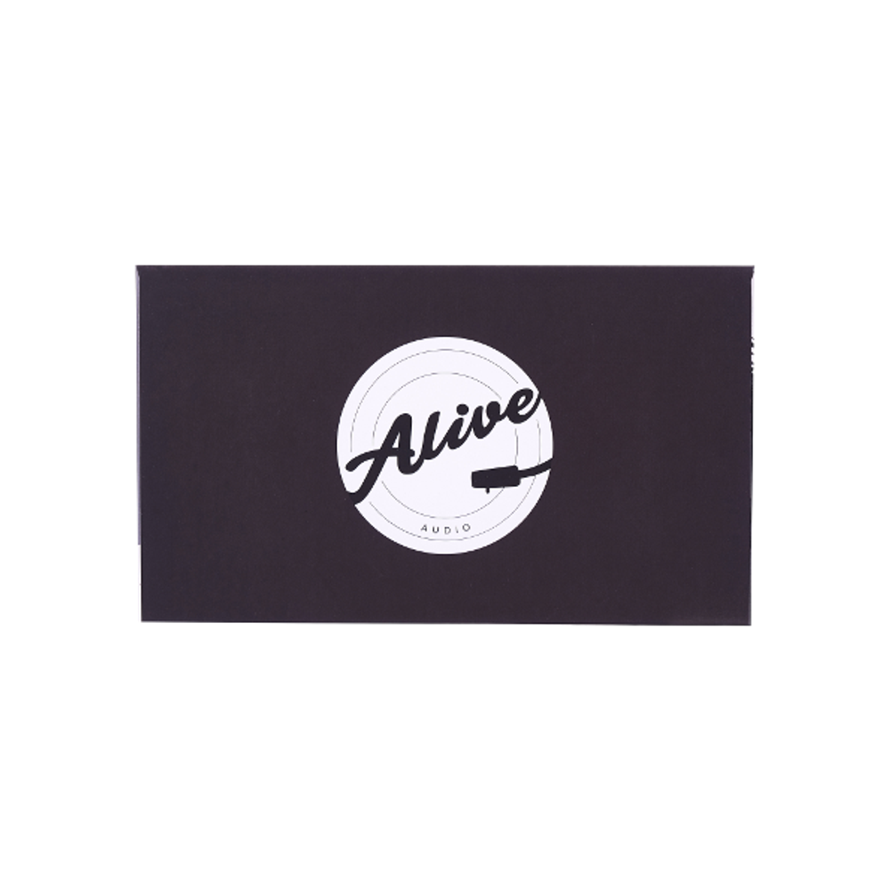 Беспроводная колонка Alive Audio Journey (Black)