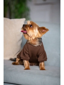 Толстовка худи кофта свитер для собак кошек и  животных