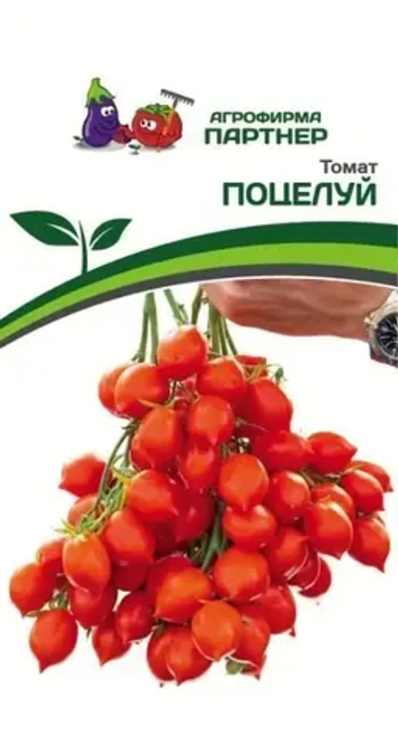 Томат Поцелуй