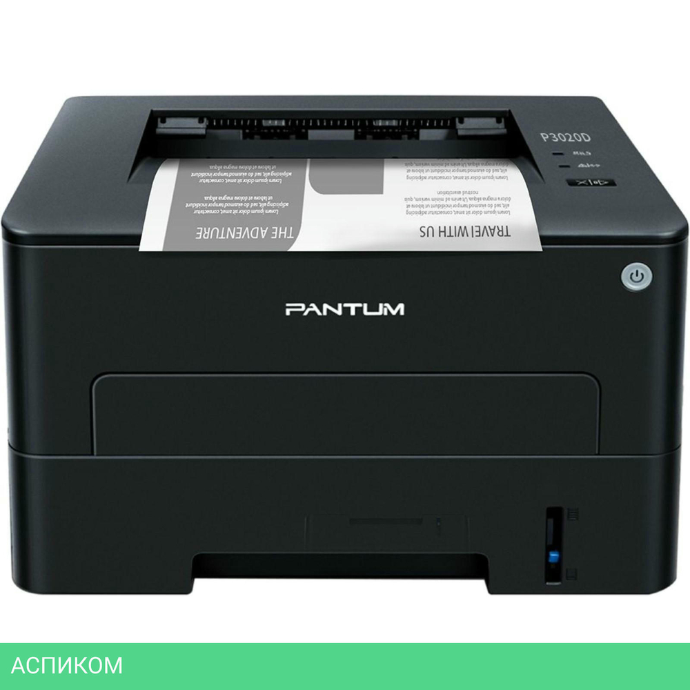 Принтер Pantum P3020D