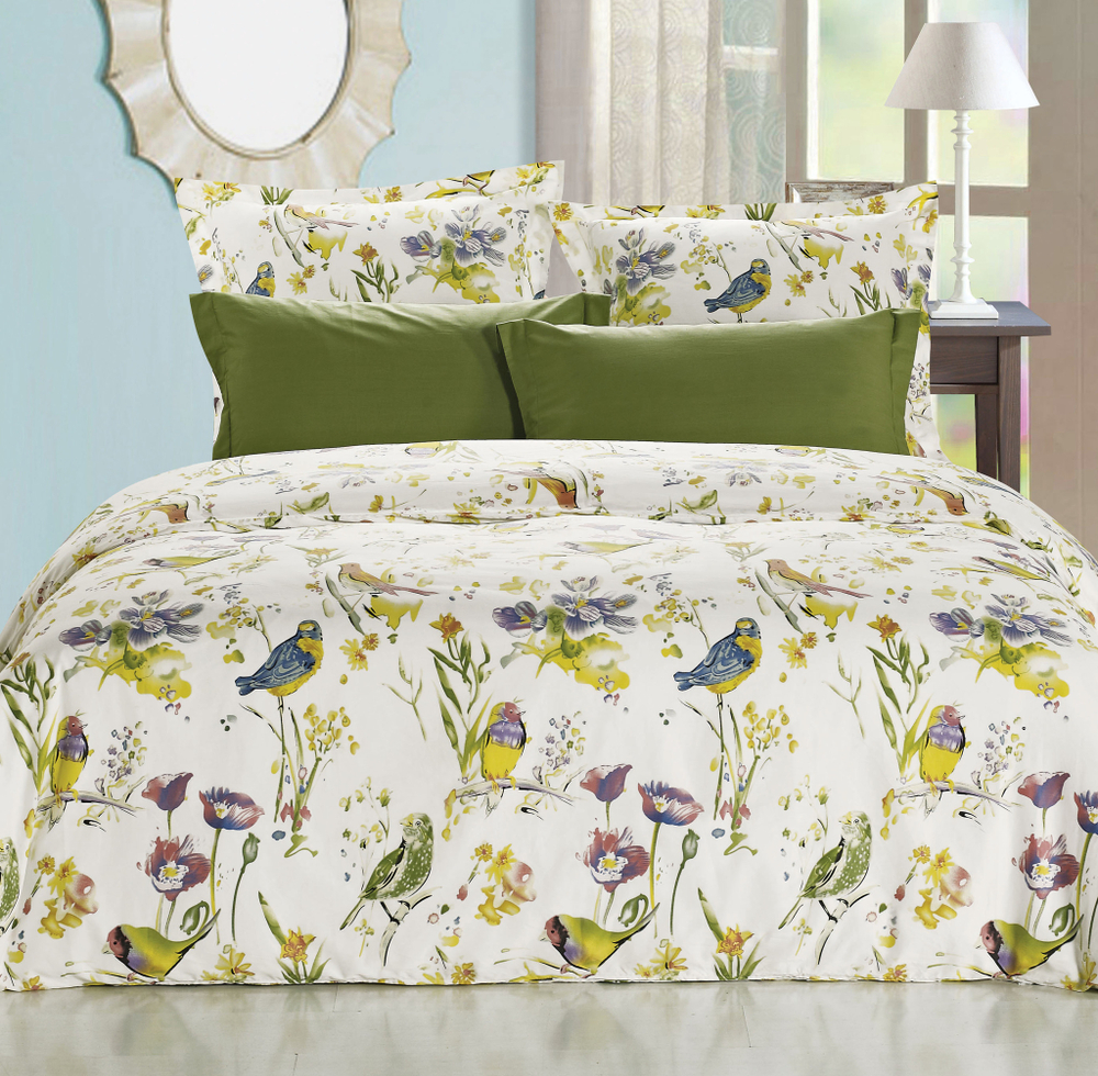 Постельное белье СайлиД B-157 сатин