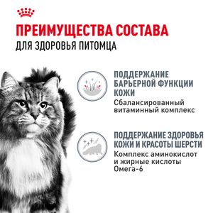 Пауч Royal Canin Hair&Skin Care для взрослых кошек для поддержания здоровья кожи и красоты шерсти, тонкие ломтики в соусе