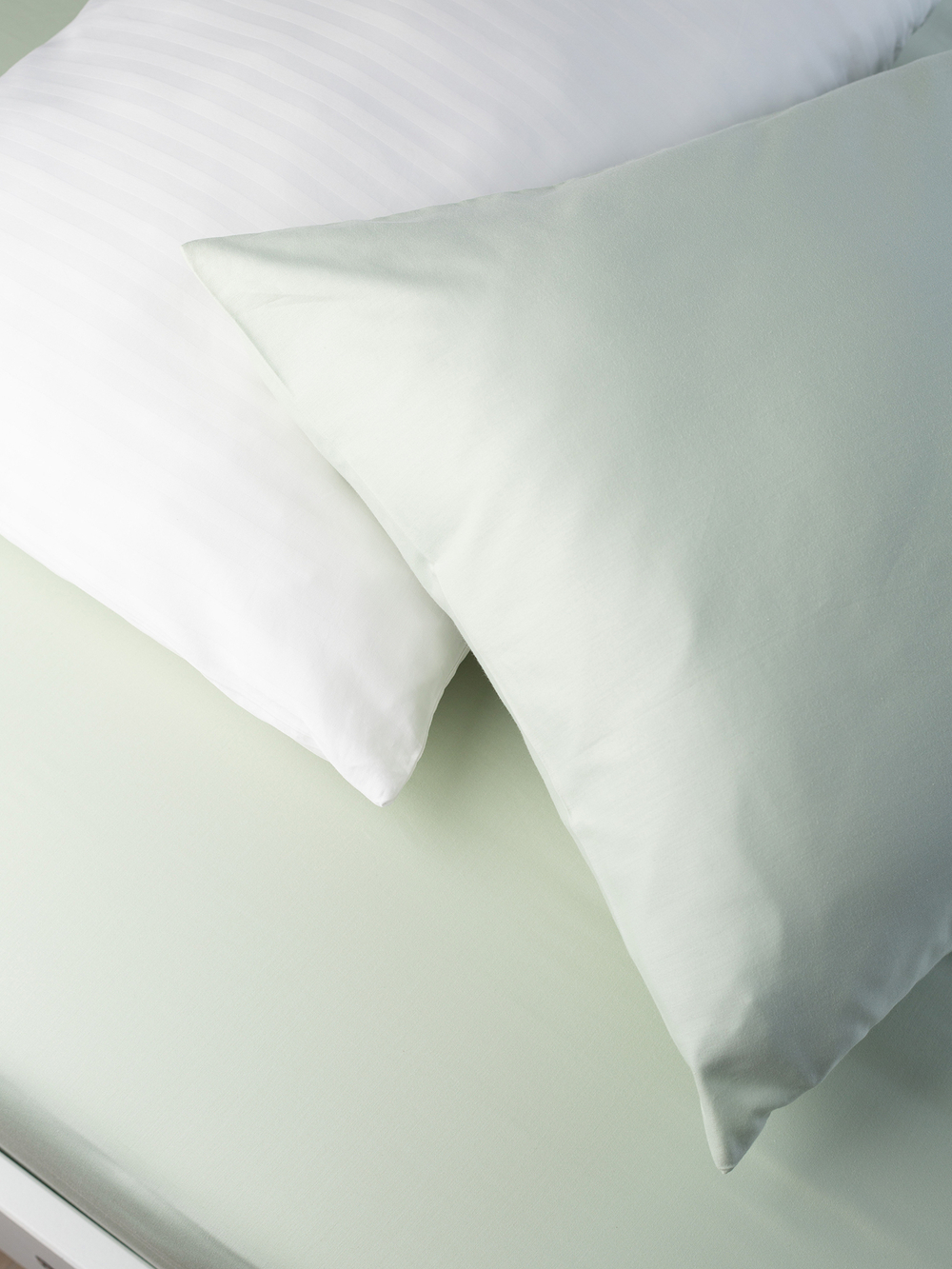 Купить наволочку сатин BLOOM BLANKET