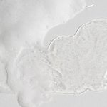 Celimax Гель-пенка для умывания с комплексом церамидов Dual Barrier Mild Gel Cleanser, 200мл