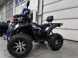 Квадроцикл GBM SHARP BIG 300 NEW PREMIUM