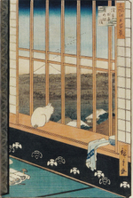 Начитанный кот