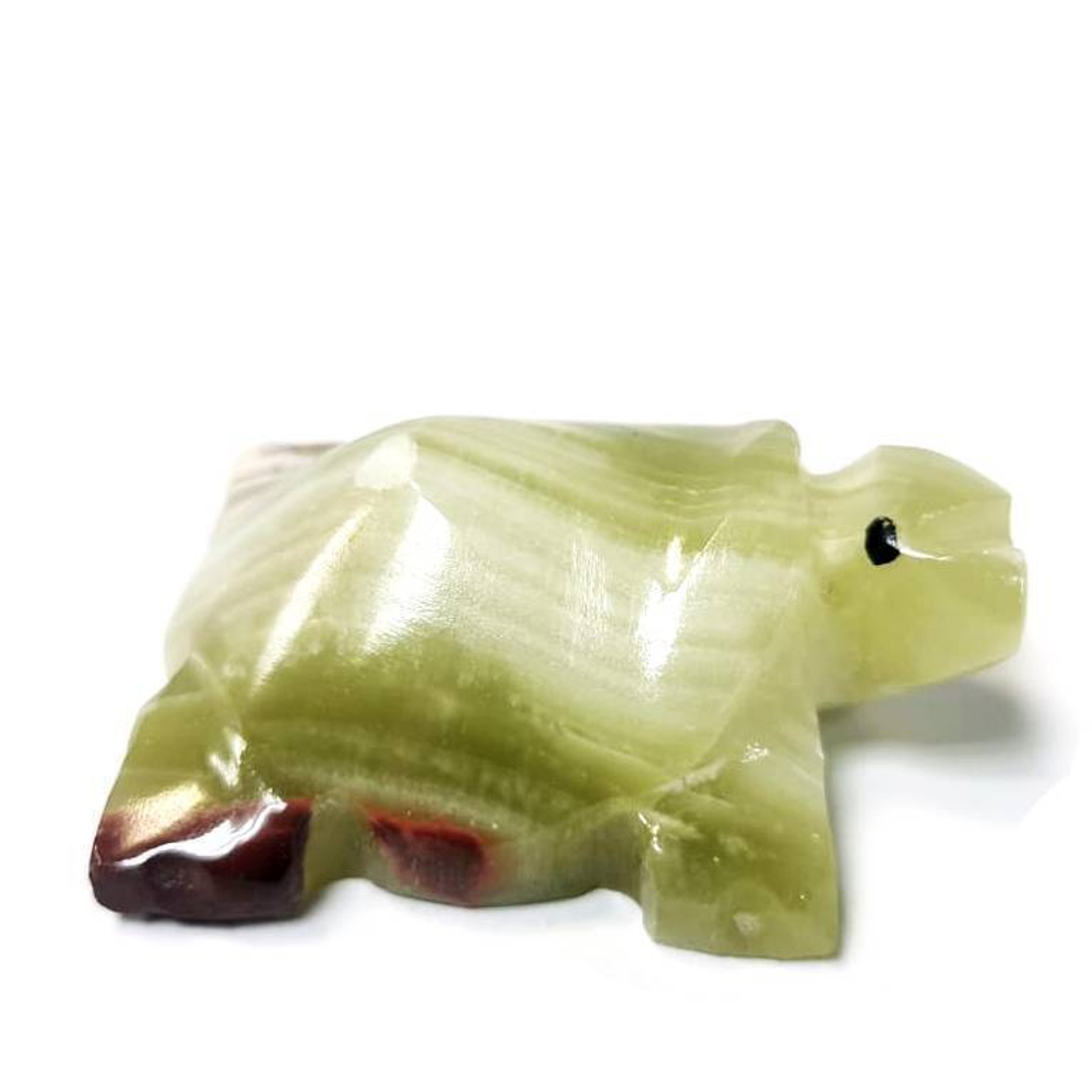 Черепаха оникс пейзажный 570.0