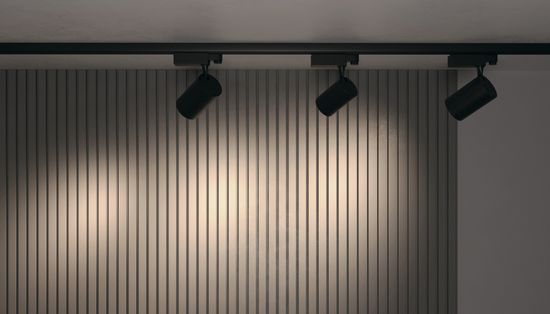 Трековый светильник Technical TR029-3-30W3K-B