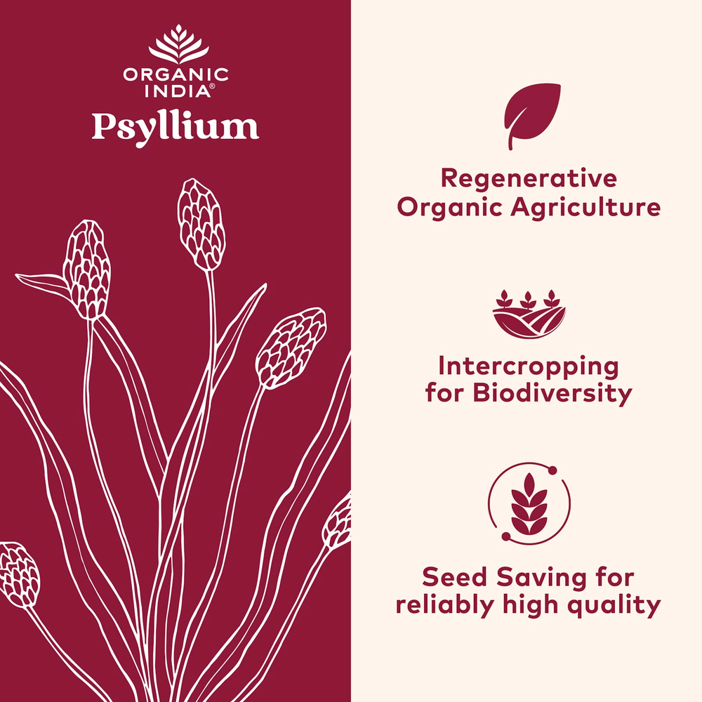 Organic India, Органический порошок подорожника, 170 г (6 унций)