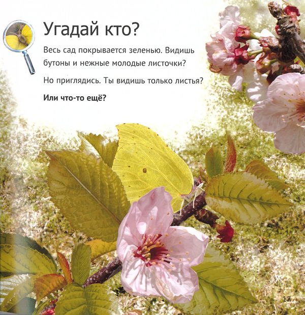 Кто живет у нас на даче. От мала до велика. Майк Анвин