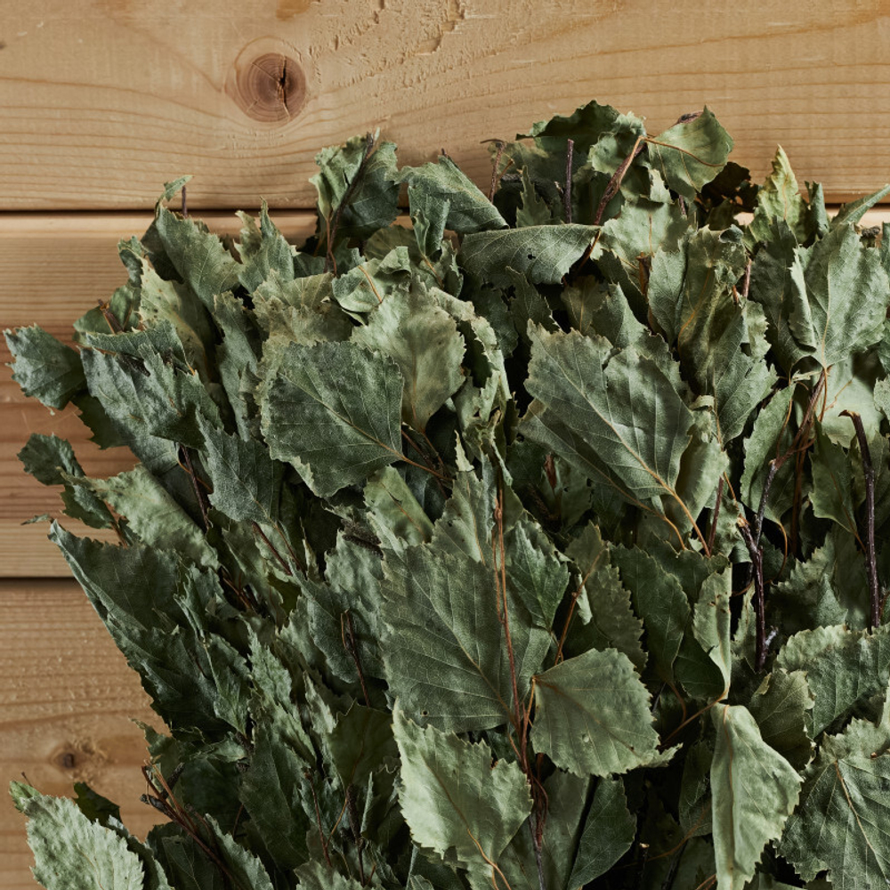 Веник берёзовый «Отборный»_3.jpg