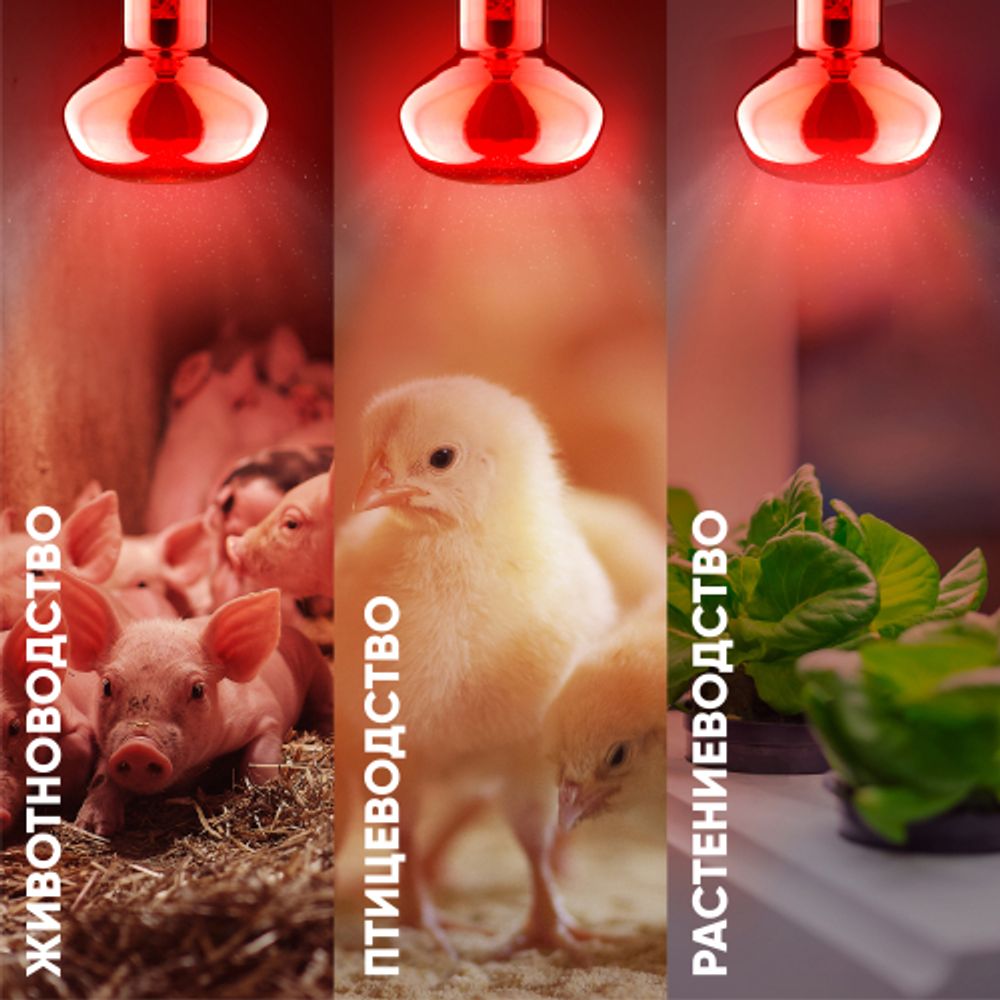 Инфракрасная лампа ЭРА ИКЗК 230-60 R63 Е27 для обогрева животных 60 Вт Е27