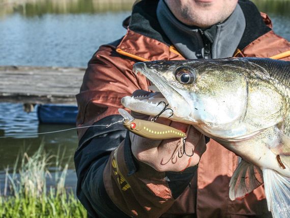 Воблер сусп. LJ Pro Series BASARA SP 05.60/302