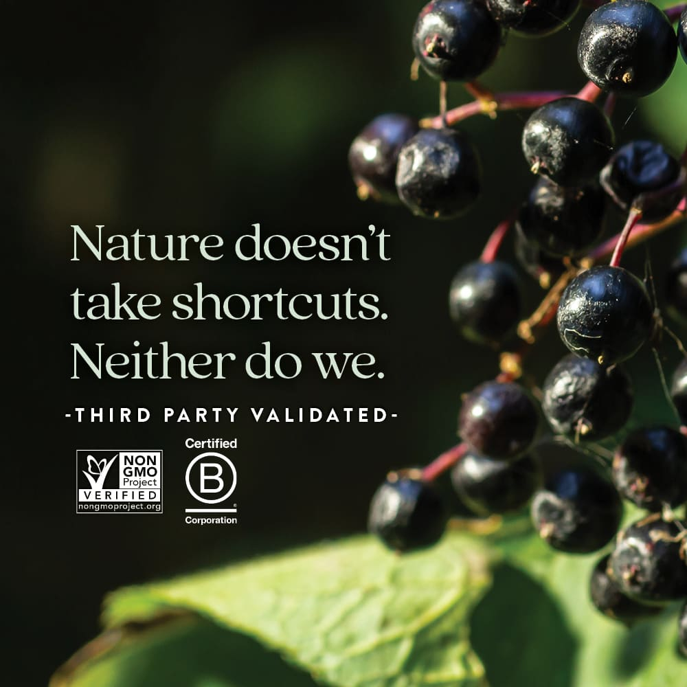 New Chapter, Для детей, сироп из бузины и меда, для детей от 2 лет, 118 мл (4 жидк. унц.)