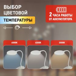 Настольный светильник ЭРА NLED-513-6W-W светодиодный аккумуляторный на прищепке белый | Светодиодные настольные лампы