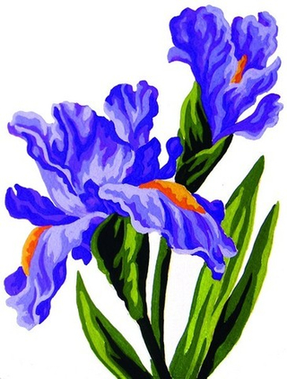 "Ирисы"-3286 канва с рисунком