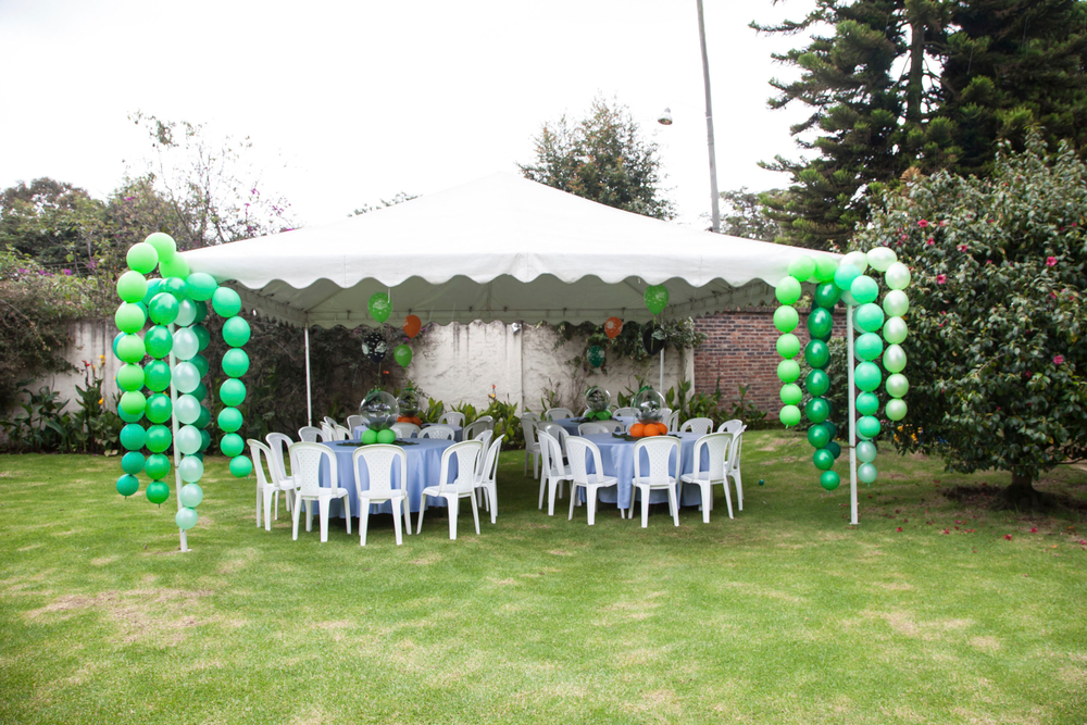 Линколун 6" Лайм 031 Sp