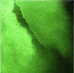 The Ocean Collective / Phanerozoic I: Palaeozoic (Limited Edition)(2CD+DVD)
