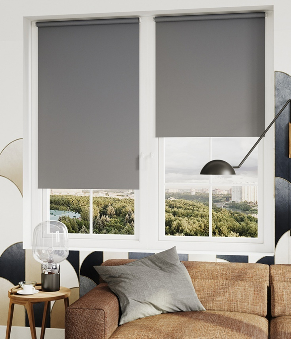 Рулонные шторы Лестер Графит