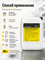 Shine Systems CationicShampoo - наношампунь для ручной мойки автомобиля, 20 кг