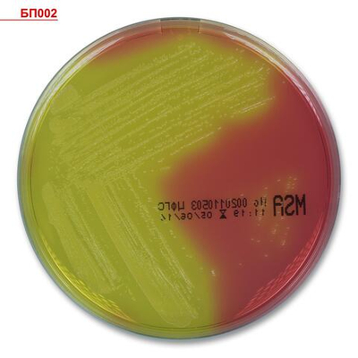 Агар солевой с маннитом, готовый, в чашке Петри 10 шт