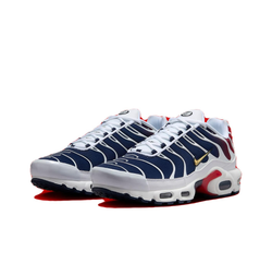 Мужские кроссовки Nike Air Max Plus 'PSG' FZ4776-100
