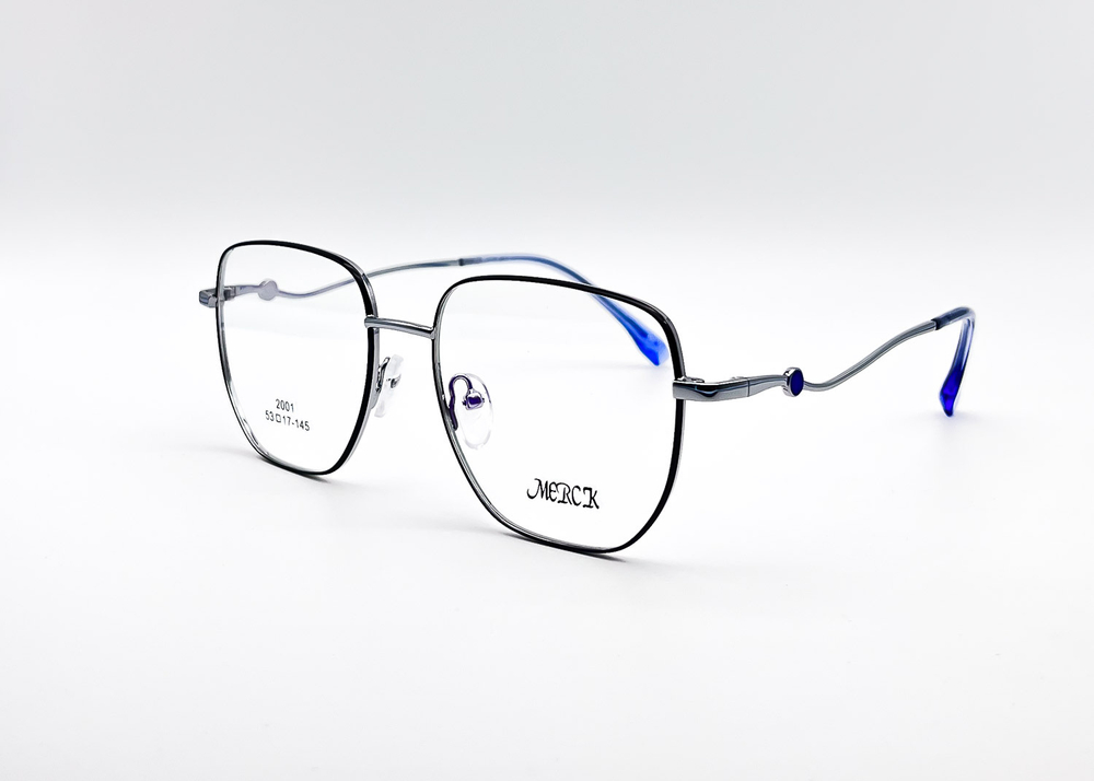Изг. оправы Merck 2001 C3