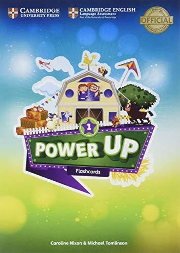 Power Up Level 1 Flashcards (Pack Of 179)