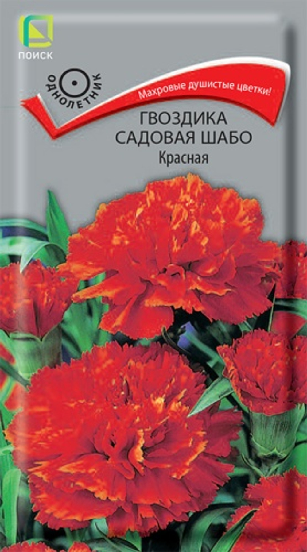 Гвоздика садовая Шабо Красная 0,1гр. (Поиск)