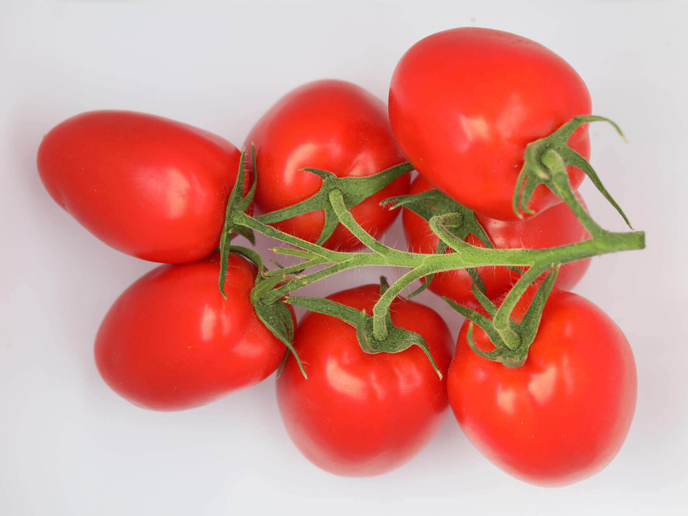 Армата F1 семена томата индетерминантного (Гавриш) (100 шт.)