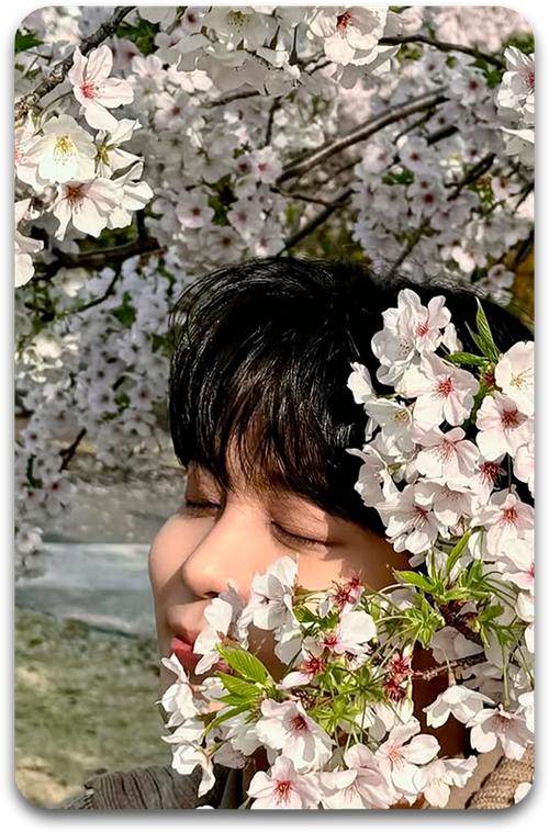 Карта / ATEEZ #1036