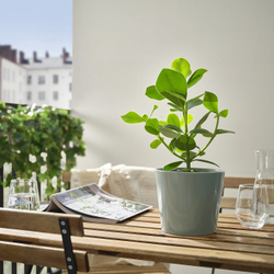 IKEA SOJABÖNA  (ИКЕА СОЙАБÖНА)  -  Простыня, серая/зеленая, 15 см