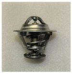 Термостат Ricardo Y485BD; TDK 17 4L (Т=76С)/Thermostat, element