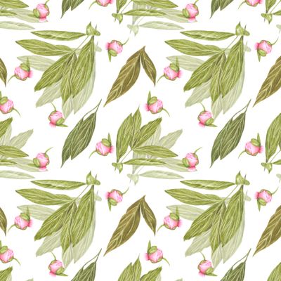 Розовый пион бутон с зелеными листьями