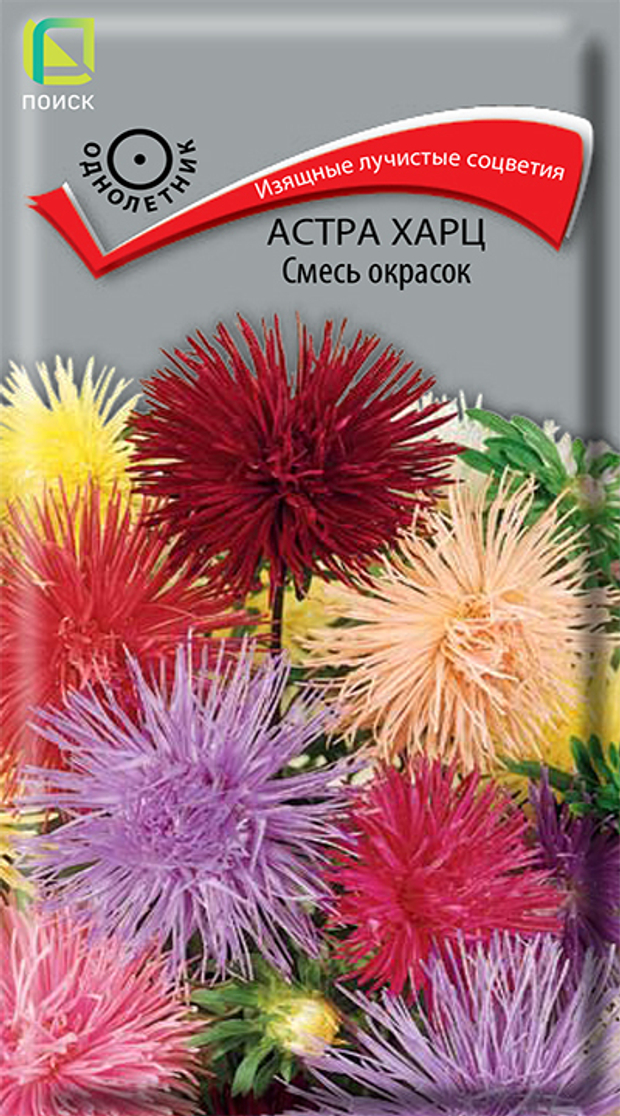 Астра харц Смесь окрасок