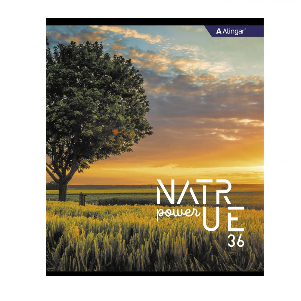 Тетрадь 36 л., А5, клетка, Alingar "Nature power", скрепка, второй блок 60г/м2, мелованный картон (стандарт), 4 дизайна в пленке т/у