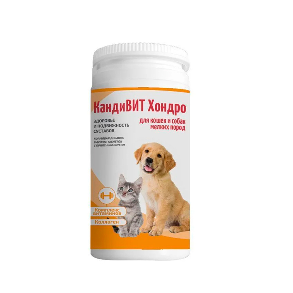 КандиВит Хондро (аналог Канвита Хондро) 50 таб. 1 г