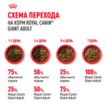 Royal Canin GIANT ADULT питание д/взрослых собак очень крупных размеров 15кг